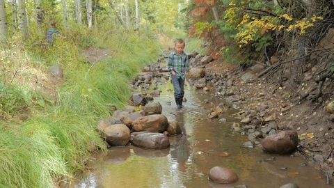 Boy walking in a creek on a fall day Stock Footage 81087067