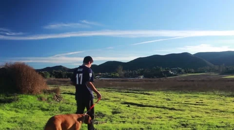 Boy Walking dog in countryside Video stock 45472399