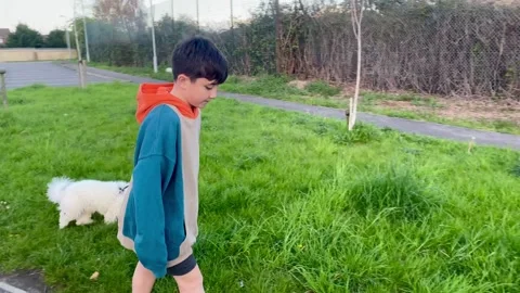 Boy walking a dog Stock Footage 240030504