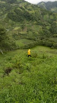 Boy walking down a mountain hill Stock Photos