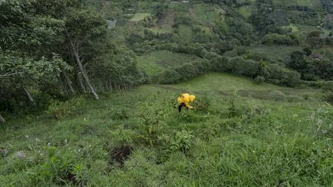 Boy walking down a mountain hill Stock Photos
