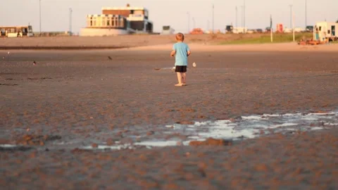 Boy walking on the empty beach during low tide, watching seagulls Stock Footage 287400836