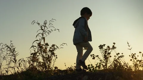 Boy walking on the field at sunset Video stock 119992918