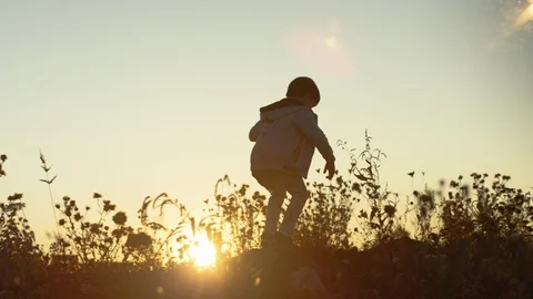 Boy walking on the field at sunset Vídeos de archivo 119993013