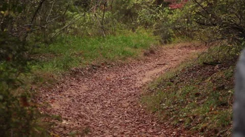 Boy Walking Stock-Footage 8945433