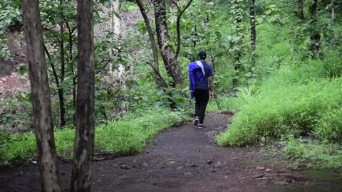 Boy walking inside the Jungle Stock Footage 132108640