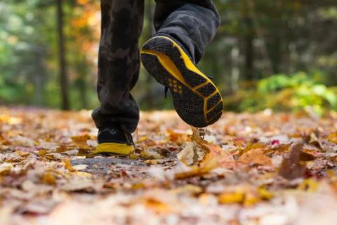 Boy Walking on Leaf Trail Stock-Fotos