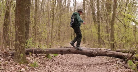 Boy is walking on log and playing in forest. Active boy is walking on the beam Stock Footage 153273447