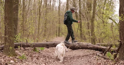 Boy is walking on log and playing in fores. Active boy is walking on the beam Stock-Footage 153273491
