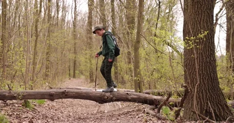 Boy is walking on log and playing in fores. Active boy is walking on the beam Stock Footage 153273599