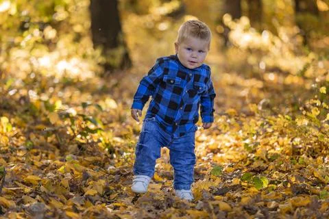 Boy walking in nature Stock Photos