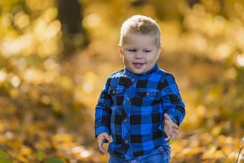 Boy walking in nature Stock Photos