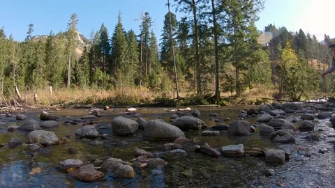 Boy walking over the river stones in front of trees in Zakopane, Poland . Stock Footage 152845212