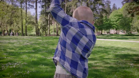 Boy walking in park Stock Footage 64453237