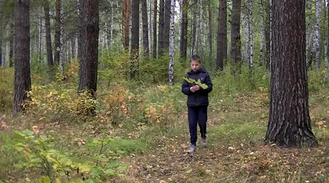 Boy walking in the park Stock Footage 68371531