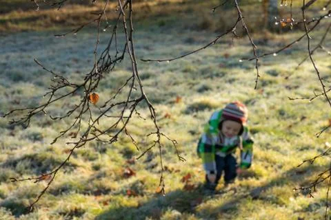 Boy walking in the park Stock Photos