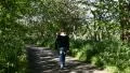 A boy walking in a path (back view) HD Footage