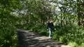 A boy walking in a path (front view) HD Footage
