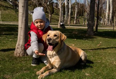 Boy walking with a pet Stock Photos