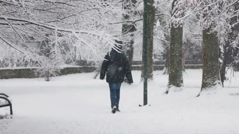 Boy walking in the snowy park Stock Footage 232810290