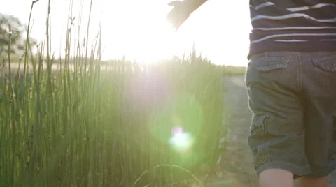 Boy Walking at Sunset Through Tall Grass Video stock 50648770