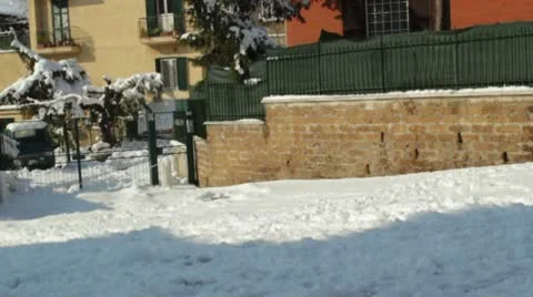 Boy walking thoughtfully in the snow Stock-Footage 10770132