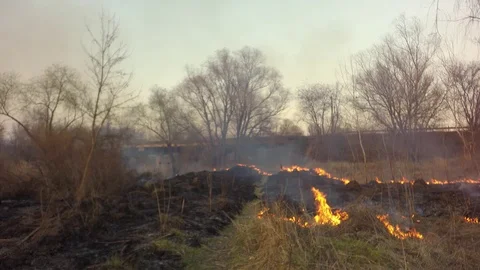 The boy is walking through a burning field. Video stock 74078139