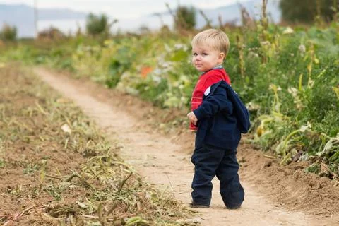 Boy walking through the field Stock Photos