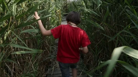 Boy walking through marsh's bridge Vídeo Stock 83492946
