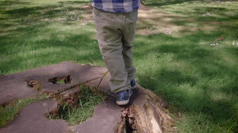 Boy walking on tree stump in park Stock Footage 64453337