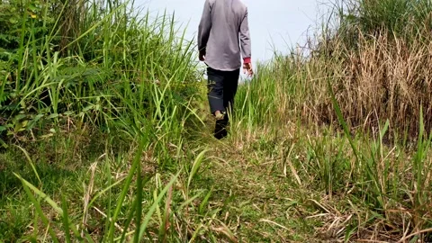 Boy walking in the wild Stock Footage 210371598