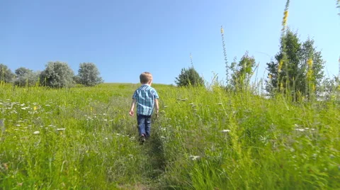 Boy walking in wild meadow Stock Footage 64709455