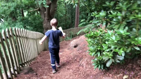 Boy walking in the woods in summer time Stock Footage 132794905