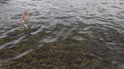 The boy walks on algae growing at the bottom of the sea Stock Footage 94224507