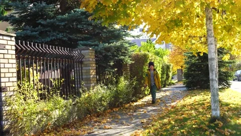 Boy walks along a path covered with yellow foliage next to a beautiful birch Video stock 167495284