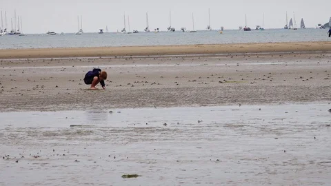 A boy walks on the beach Stock Footage 93018631