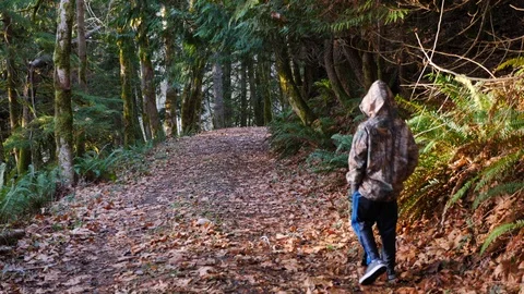 Boy walks down a forest road in fall time. Stock-Footage 121367191