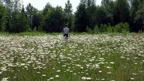 A boy walks on the field with chamomile Stock Footage 78030855