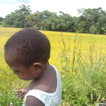 A boy walks on the grass Stock Photos