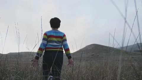 Boy walks on high dry grass between hills and touches grass with his hands Stock Footage 130727280