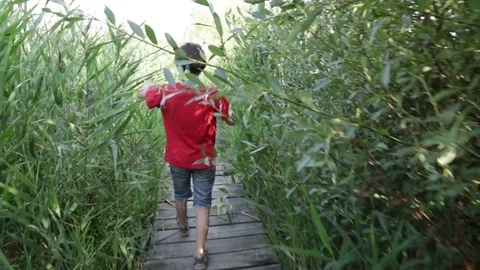 A boy walks into the reeds Vídeo Stock 83492792