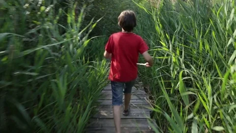 A boy walks through the reeds Vídeo Stock 83492778