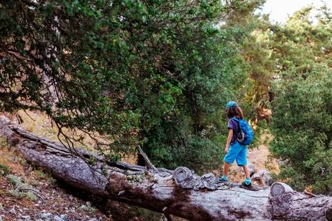 Boy walks on top of a fallen tree in the forest. Children's leisure, a happy  Stock Photos