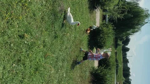 The boy wants to catch ducks. Summer day. Stock Footage 168948420