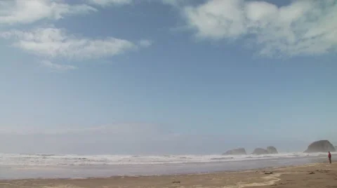 Boy watching sea waves from beach Stock Footage 54593270