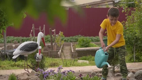 Boy watering flowers Stock Footage 130499424