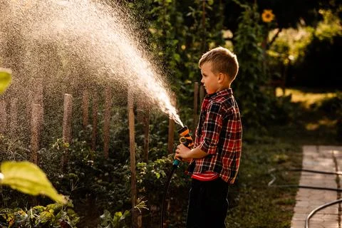 The boy is watering the garden bed using a hose Stock Photos