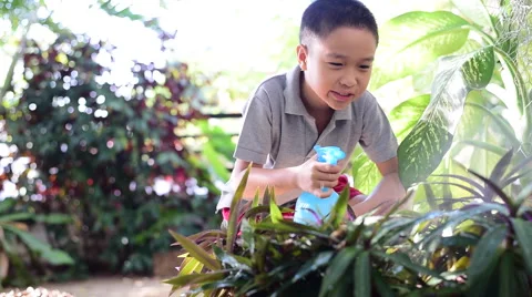 Boy watering garden Video stock 58749381