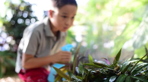Boy watering garden Video stock 58749510