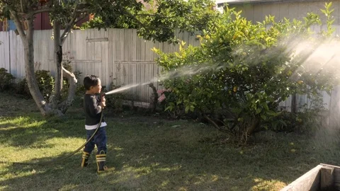 A Boy Watering a Lemon Tree in a Backyard Stock Footage 125788739